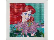 Set per diamond painting Disney