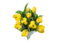 Mazzo di tulipani , prezzo 3.99 EUR