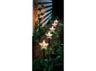 Luci LED decorative con picchetto , prezzo 5.99 EUR
Luci LED ...