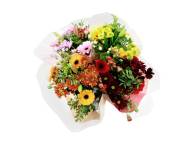 Bouquet di fiori , prezzo 4.49 EUR