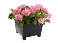 Fioriera quadrata con irrigatore Florabest, prezzo 4,99 € ...