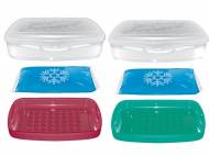Contenitore icebox
