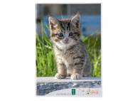 Blocco da disegno A3, 40 fogli , prezzo 1.29 €