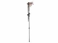 Bastoni telescopici da trekking, 2 pezzi , prezzo 17.99 € ...