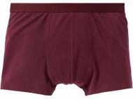 Boxer da uomo, 2