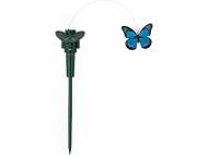 Farfalla decorativa