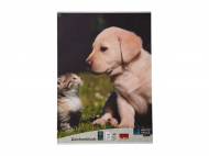 Blocco da disegno A3 United Office, prezzo 0,99 € ...