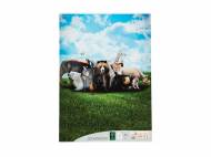 Blocco da disegno A3 , prezzo 1.49 € per Alla confezione ...