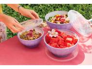 Set ciotole con coperchio, 3 pezzi , prezzo 7.99 € ...