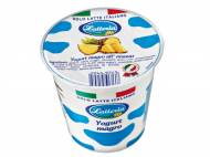 Yogurt intero o