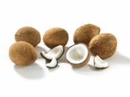 Noci di cocco