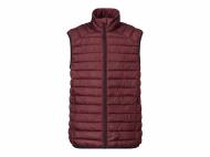 Gilet imbottito da uomo Livergy, prezzo 14.99 &#8364; 
- ...