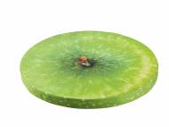 Cuscino per sedia