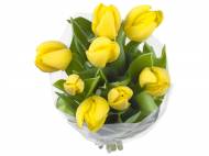 Mazzo di tulipani