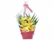 Orchidea 6 fiori