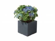 Vaso per piante Florabest, prezzo 0,00 € per Alla ...