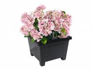 Fioriera quadrata con irrigatore Florabest, prezzo 4,99 € ...