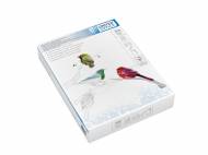 Risma di carta A4 United Office, prezzo 2.99 €
500 ...