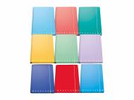 Cartella 3 lembi Pigna, prezzo 1.99 €
Caratteristiche