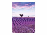 Quaderno United Office, prezzo 0.79 €
Caratteristiche
- ...