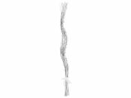 Rami luminosi LED Melinera, prezzo 11.99 €
- 30 rami ...