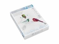 Risma di carta A4 United Office, prezzo 2.99 €
500 ...