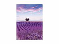 Quaderno United Office, prezzo 0.79 €
Caratteristiche
- ...