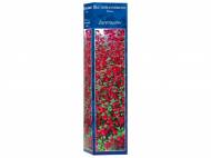 Arbusti ornamentali