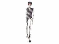 Scheletro decorativo per Halloween , prezzo 7.99 € ...