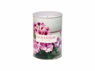 Candela Geranium , prezzo 0.79 €
NovitÃ
- Citronella ...
