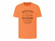 T-shirt da uomo Livergy, prezzo 6.99 €
2 pezzi - ...