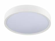 Lampada LED da soffitto o da parete Livarno, prezzo 12.99 € ...