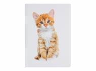 Quaderno A4 United Office, prezzo 0.79 €
Caratteristiche
- ...