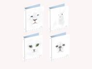 Cartella ad anelli A4  White