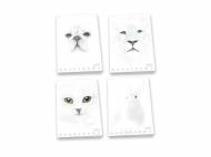Maxi Quaderno  White