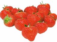 Fragole