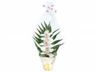 Orchidee 3 fiori