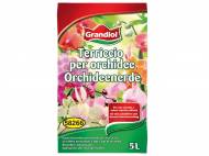 Terriccio per orchidee,