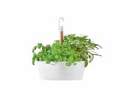 Vaso pensile per erbe aromatiche , prezzo 5.99 €
- ...