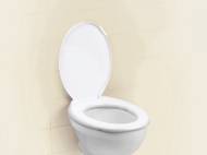 Asse per WC , prezzo 6,99 &#8364; per Alla confezione 
- ...