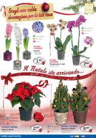 Scegli una calda decorazione