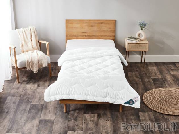 Trapunta termica singola a zone differenziate , prezzo 19.99 EUR 
Trapunta termica ...
