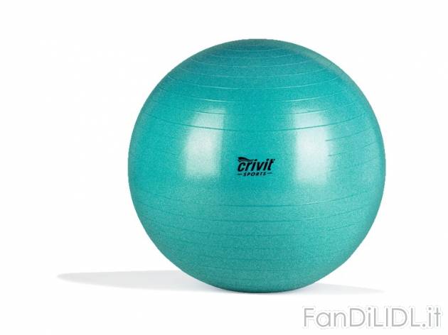 Palla morbida per ginnastica Crivit Sports, prezzo 7,99 &#8364; per Alla confezione ...