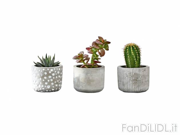 Vaso per piante, 2 o 3 pezzi o portalumini 2 pezzi , prezzo 4.99 &#8364;