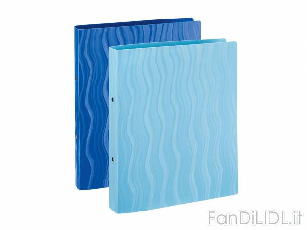 Cartellina portadocumenti con elastico o ad anelli , prezzo 2.99 &#8364; 
- ...