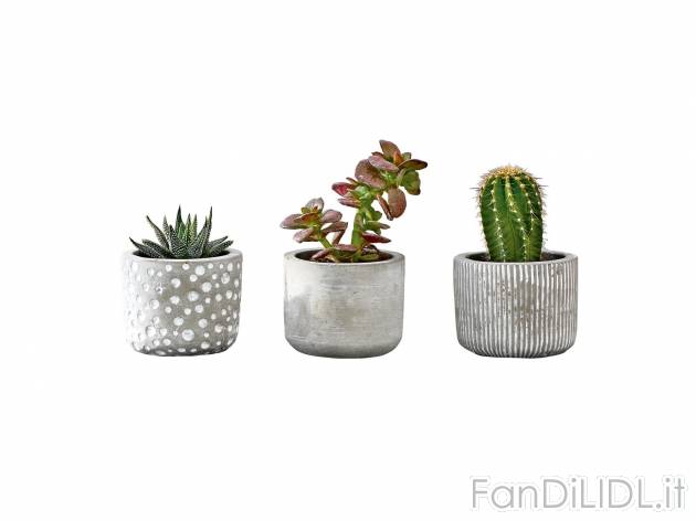 Vaso per piante, 2 o 3 pezzi o portalumini 2 pezzi , prezzo 4.99 &#8364;