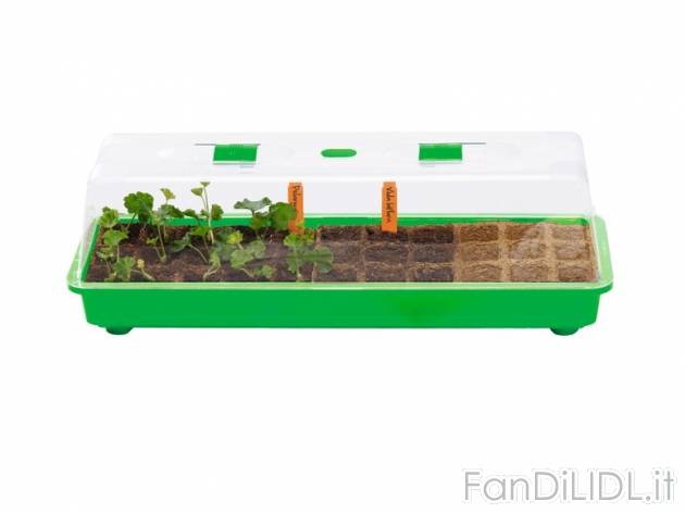 Mini serra per interni, 10 pezzi Florabest, prezzo 9,99 &#8364; per Alla confezione ...