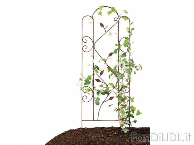 Spalliera in metallo per rampicanti Florabest, prezzo 5,99 &#8364; per Alla ...