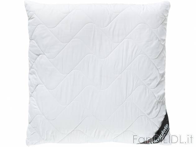 Cuscino 50x80cm , prezzo 9.99 &#8364; 
- Con cerniera lampo - riempibile individualmente ...