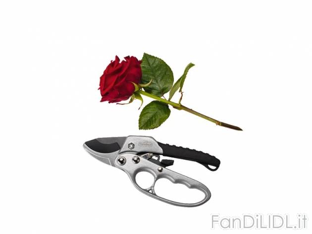 Forbice per giardinaggio a cricchetto Florabest, prezzo 4,99 &#8364; per Alla ...